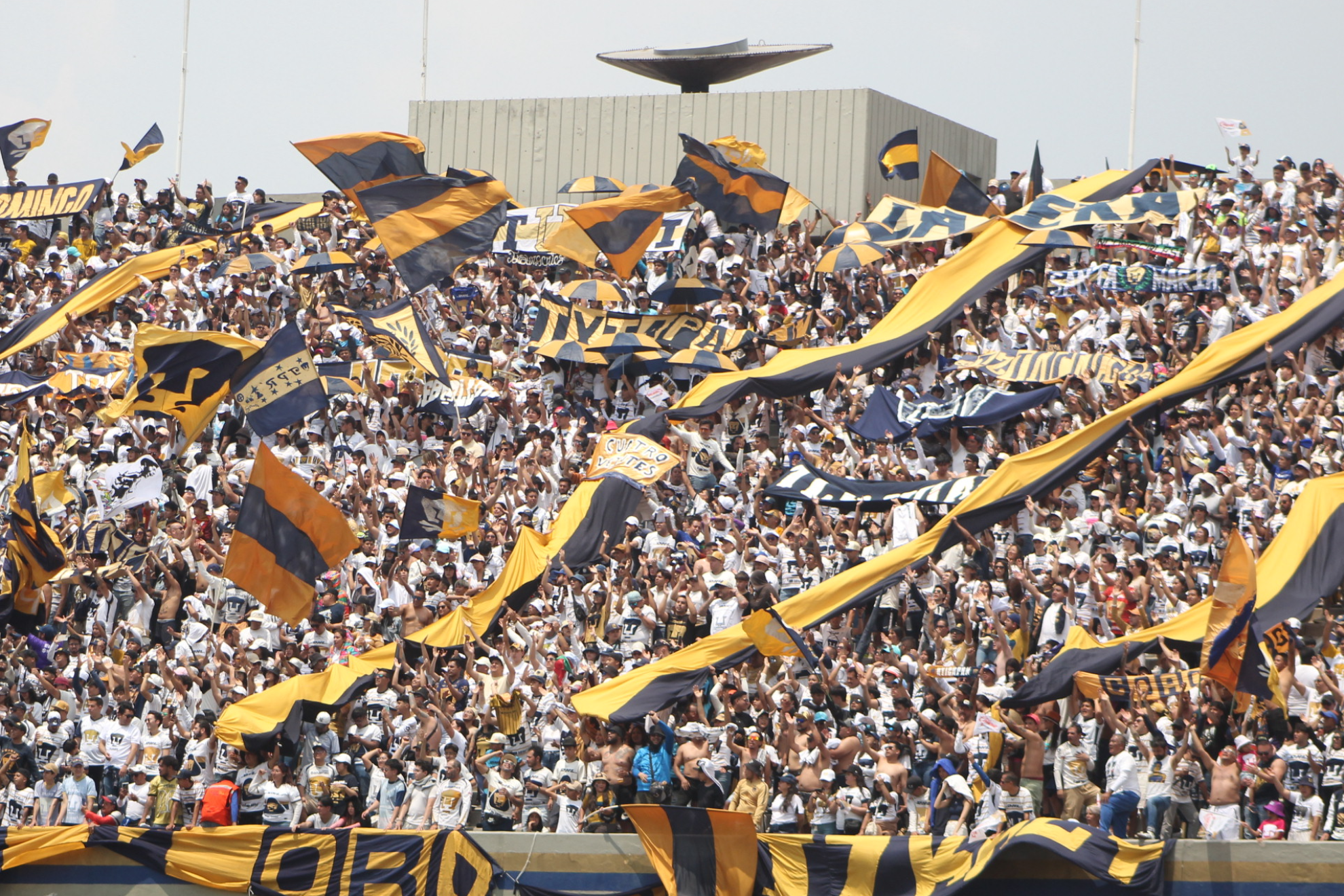 La afición auriazul hizo una gran entrada en el último partido de pretemporada de Pumas ante Leganés.