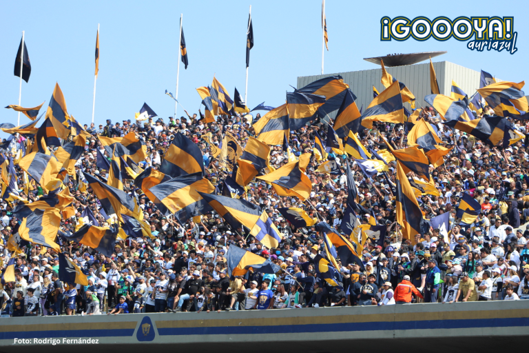 La Rebel, la barra de los Pumas y la más grande de México, celebra su 28 aniversario. (Foto: Rodrigo Fernández)