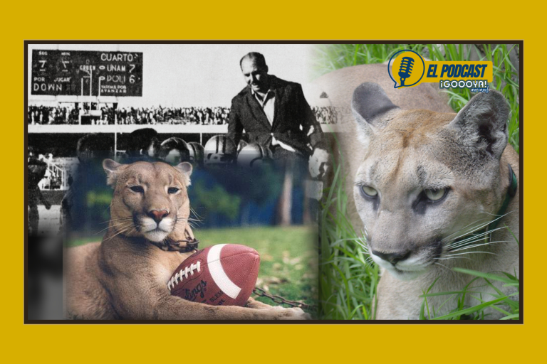 Cachorros de puma junto al logo de El Podcast ¡GOOOYA! Auriazul, portada ¿Por qué somos Pumas? La historia del mote